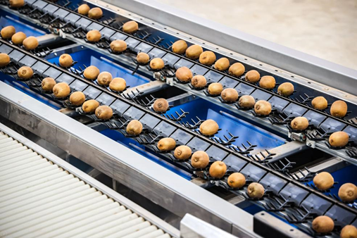 A modern automatic sorting machine grades kiwifruits at an intelligent supply chain center built by Chinese e-commerce giant JD.com in Wugong county, northwest China’s Shaanxi province. (Photo/Sanqin Metropolitan Daily)