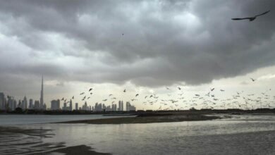 حالة الطقس في الإمارات.. عواصف وأمطار رعدية تضرب البلاد الأيام المقبلة