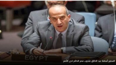 مندوب مصر لدى مجلس الأمن: الاعتراف بالدولة الفلسطينية حق أصيل للشعب الفلسطيني